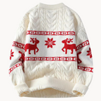 Men's Festive Knit Jumper | Merlo