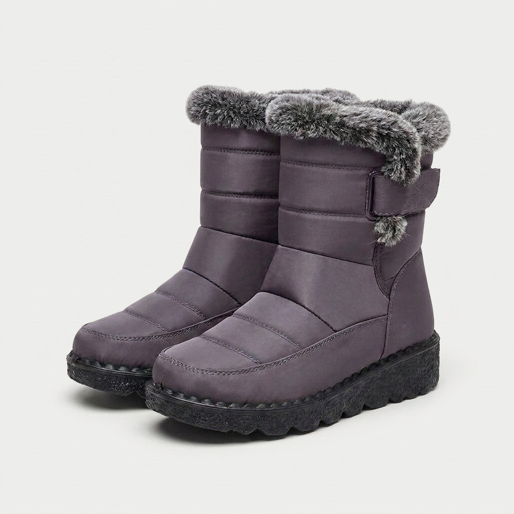 Purple Grey