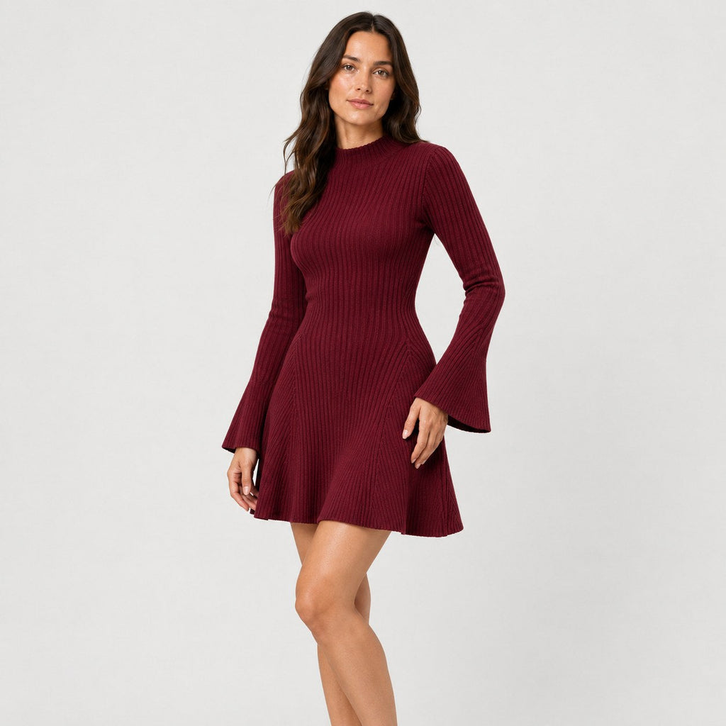 Women's ribbed knit mini dress in Burgundy | Dalham – front view